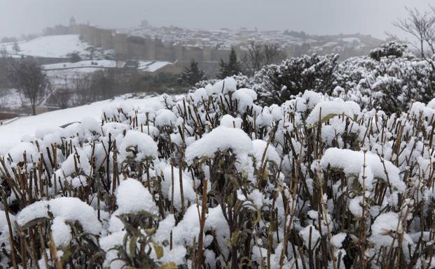 Imagen. Día de Reyes blanco en Castilla y León. 