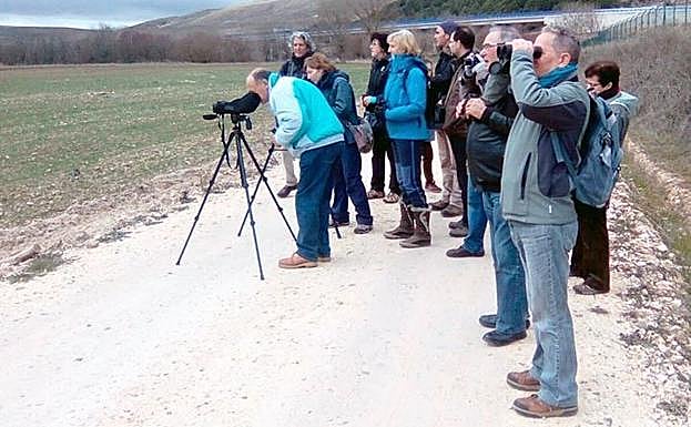 Existen muchos aficionados a las aves