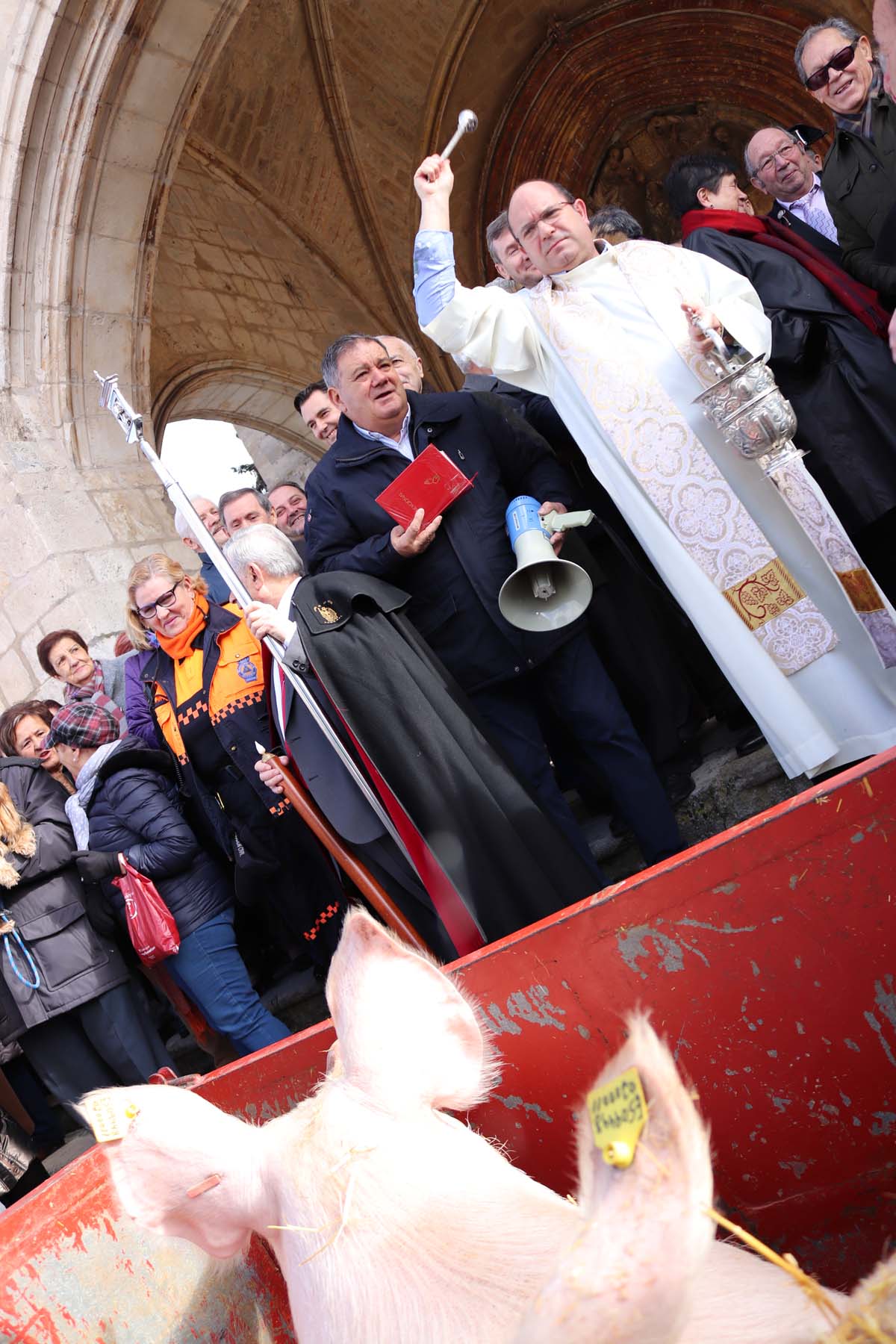 Miles de personas acuden al tradicional reparto de titos de la Cofradía de San Antón en Gamonal