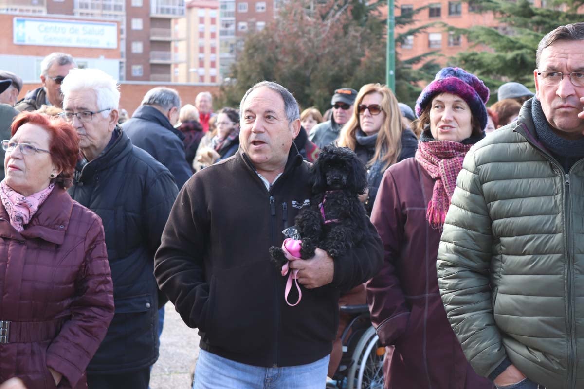 Miles de personas acuden al tradicional reparto de titos de la Cofradía de San Antón en Gamonal