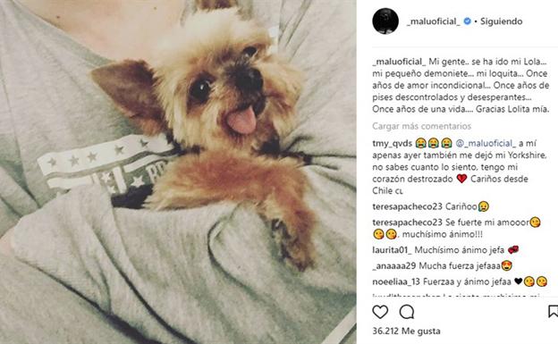 Mensaje publicado por Malú con su perrita Lola. 