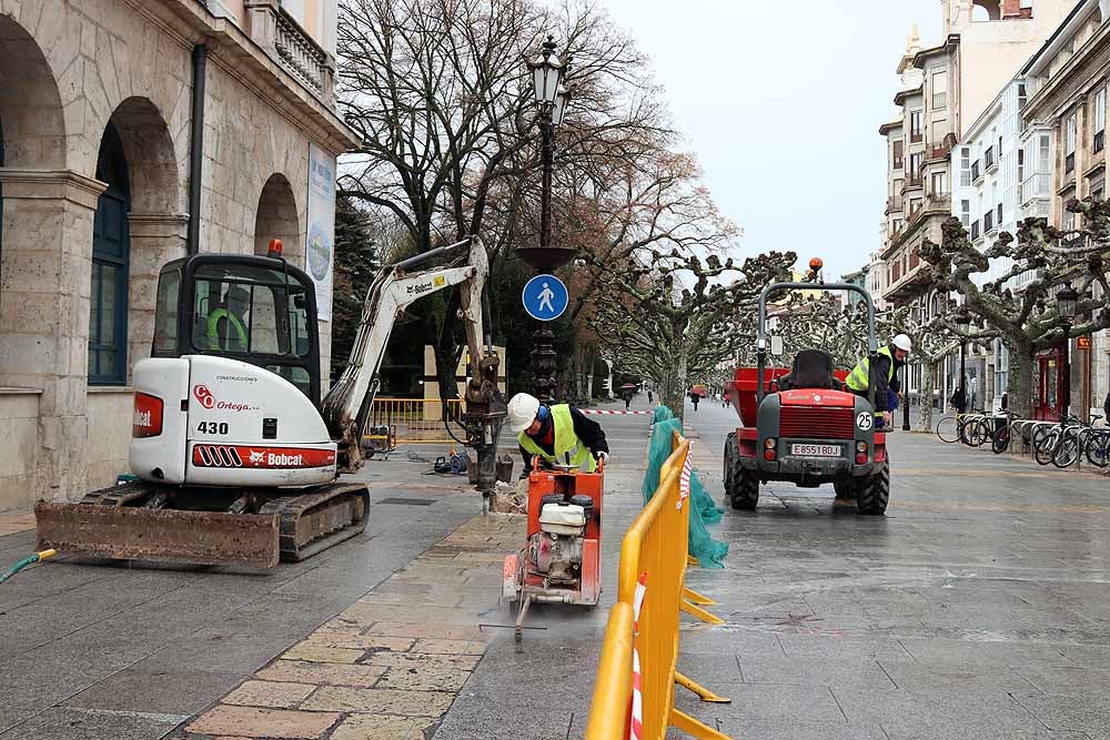 Los operarios han comenzado a trabajar frente a la Diputación