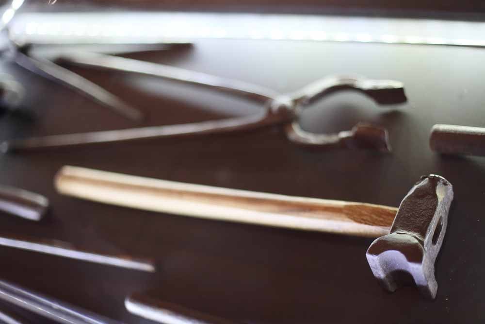 Del 1 de febrero al 11 de marzo en el Fórum Evolución