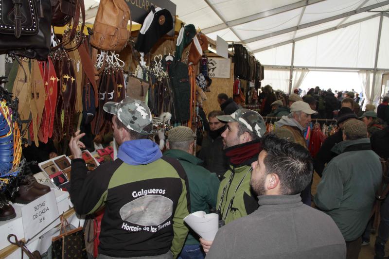 Ambiente en la carrera de galgos de este sábado en Madrigal de las Altas Torres, durante los cuartos de final del Campeonato Nacional