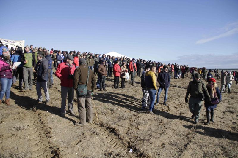 Ambiente en la carrera de galgos de este sábado en Madrigal de las Altas Torres, durante los cuartos de final del Campeonato Nacional