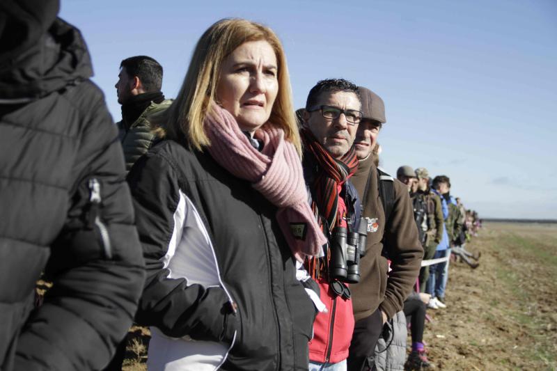 Ambiente en la carrera de galgos de este sábado en Madrigal de las Altas Torres, durante los cuartos de final del Campeonato Nacional