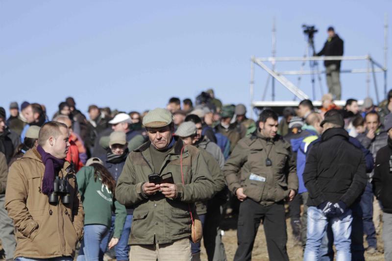 Ambiente en la carrera de galgos de este sábado en Madrigal de las Altas Torres, durante los cuartos de final del Campeonato Nacional