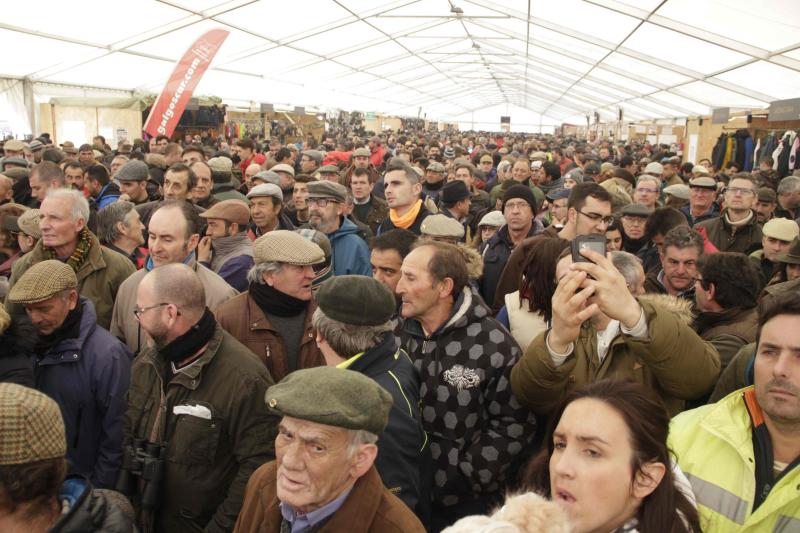 Ambiente en la carrera de galgos de este sábado en Madrigal de las Altas Torres, durante los cuartos de final del Campeonato Nacional