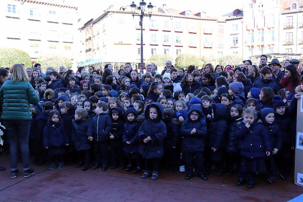 Alumnos y profesores del colegio han hecho una representación en la Plaza Mayor de Burgos