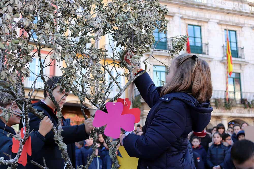 Alumnos y profesores del colegio han hecho una representación en la Plaza Mayor de Burgos