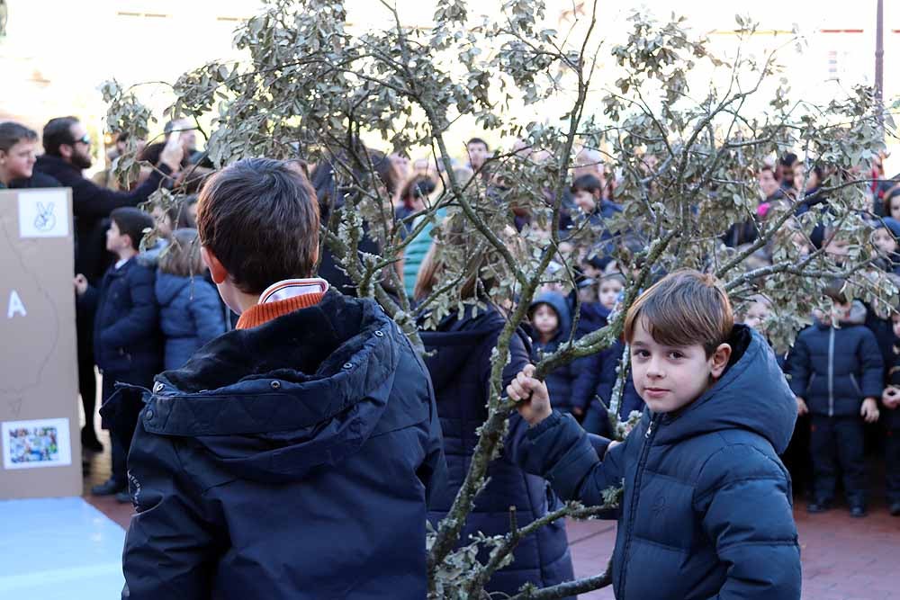 Alumnos y profesores del colegio han hecho una representación en la Plaza Mayor de Burgos