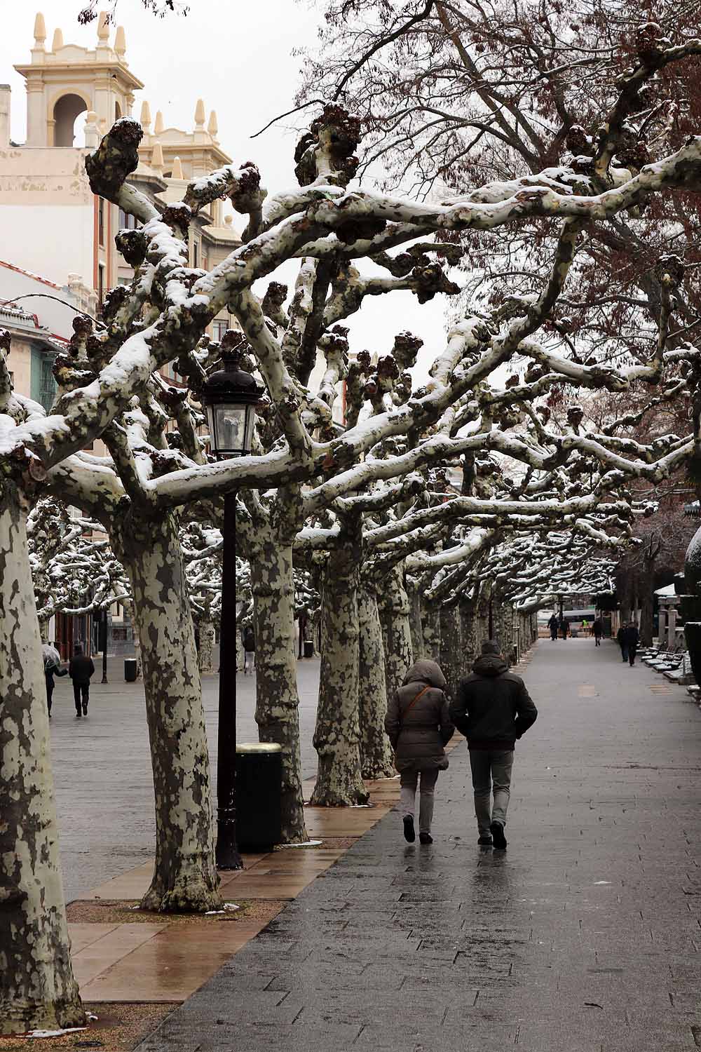 La nieve ha hecho acto de presencia, sobre todo en el norte de la provincia