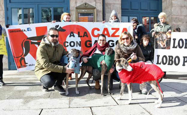 Galgos que han sido abandonados por sus dueños