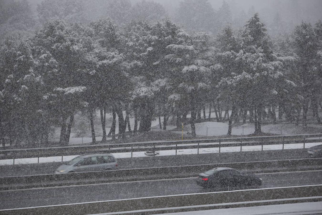 Durante toda la mañana no ha parado de nevar en Madrid capital, con temperaturas de 1º. 