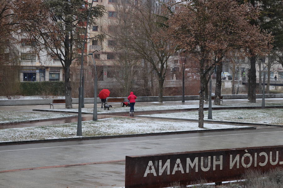 Con las alertas activadas, la nieve ha vuelto a cubrir esta mañana buena parte de la capital y la provincia. Al margen de incidenicas viarias, la capa blanca deja bonitas estampas