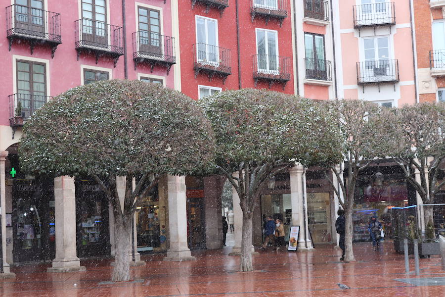 Con las alertas activadas, la nieve ha vuelto a cubrir esta mañana buena parte de la capital y la provincia. Al margen de incidenicas viarias, la capa blanca deja bonitas estampas