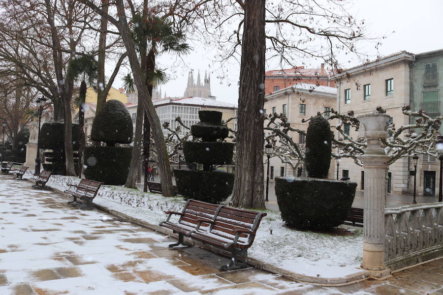 Con las alertas activadas, la nieve ha vuelto a cubrir esta mañana buena parte de la capital y la provincia. Al margen de incidenicas viarias, la capa blanca deja bonitas estampas