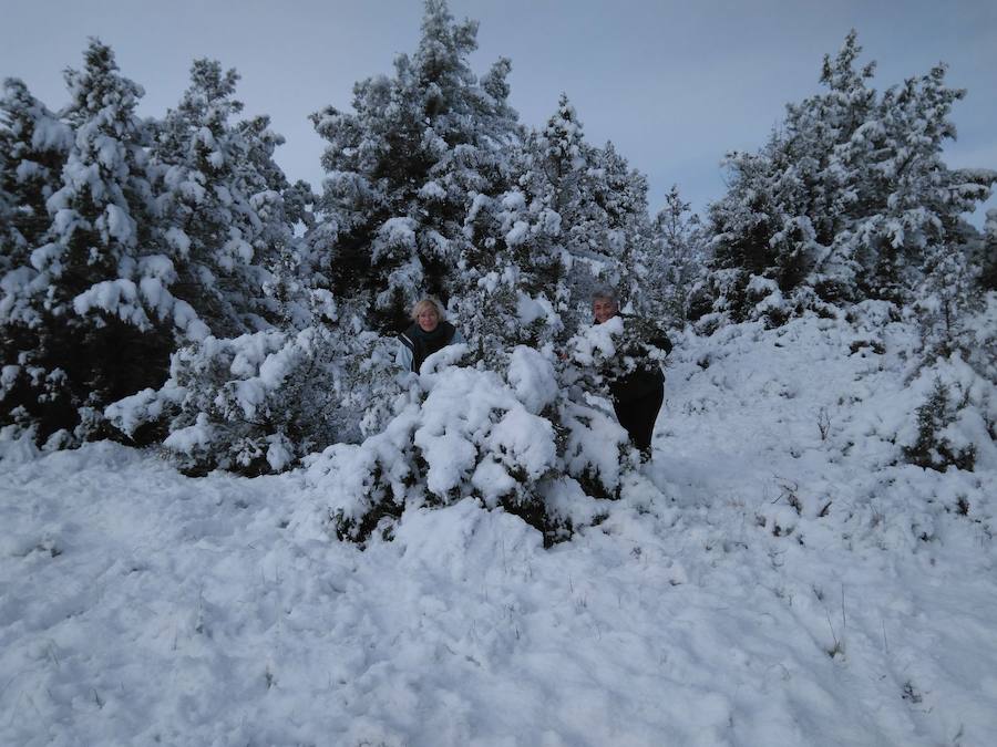 Aquí os dejamos unas imágenes sobre el paso del temporal de nieve por la provincia de Burgos