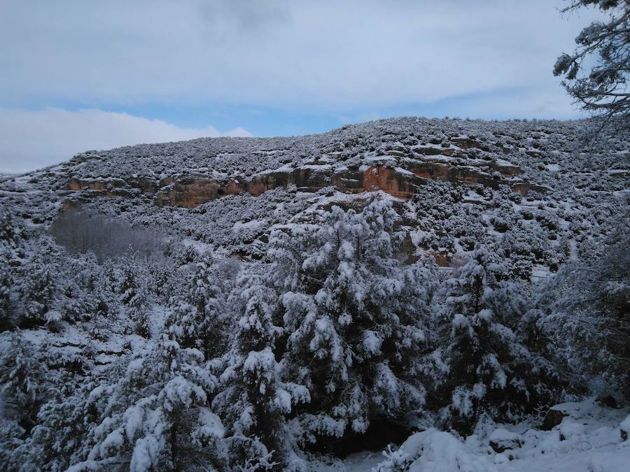 Aquí os dejamos unas imágenes sobre el paso del temporal de nieve por la provincia de Burgos