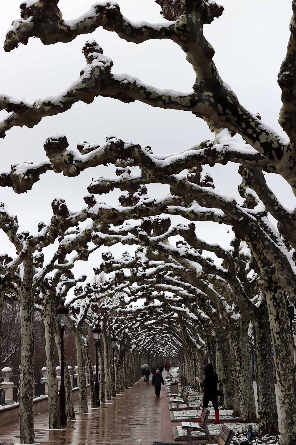 Aquí os dejamos unas imágenes sobre el paso del temporal de nieve por la provincia de Burgos