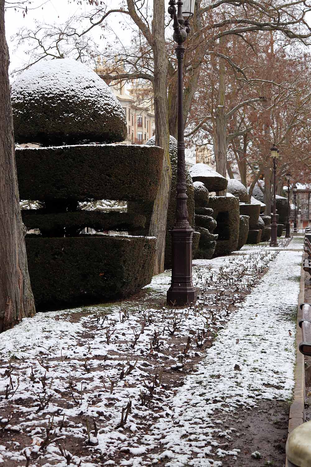 Aquí os dejamos unas imágenes sobre el paso del temporal de nieve por la provincia de Burgos