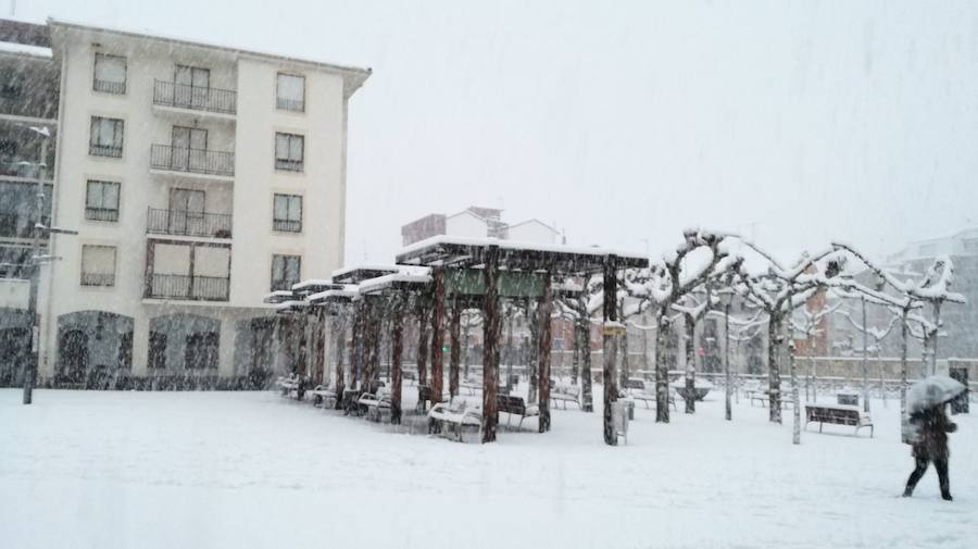 Aquí os dejamos unas imágenes sobre el paso del temporal de nieve por la provincia de Burgos