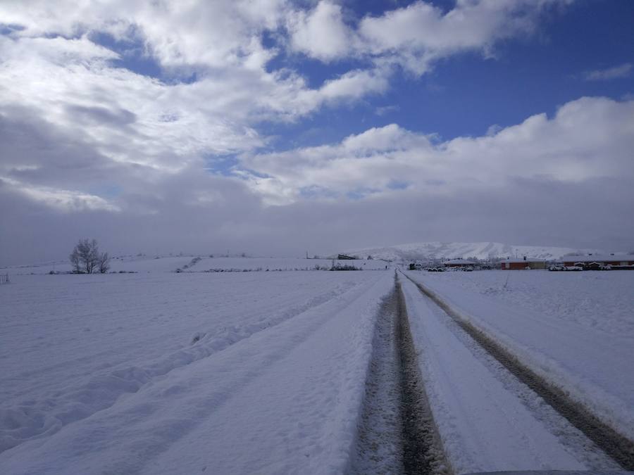 Aquí os dejamos unas imágenes sobre el paso del temporal de nieve por la provincia de Burgos