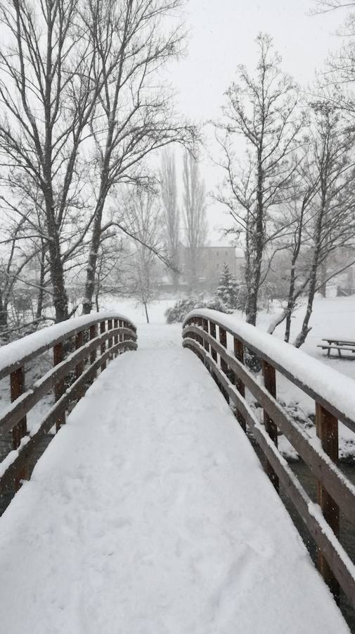Aquí os dejamos unas imágenes sobre el paso del temporal de nieve por la provincia de Burgos