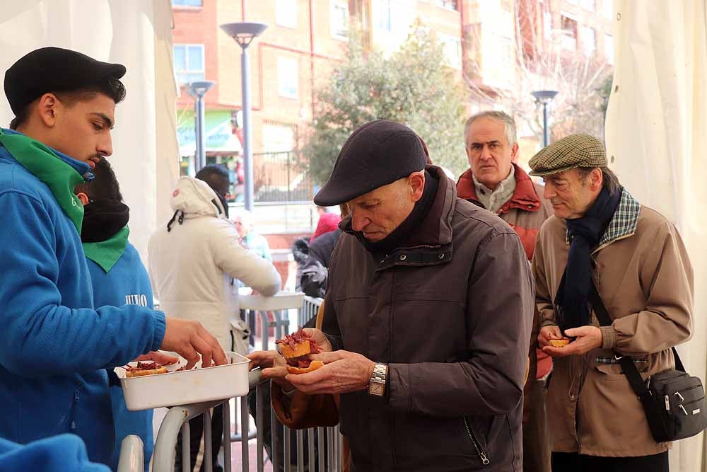 Fotos: La fiesta de la cecina en imágenes