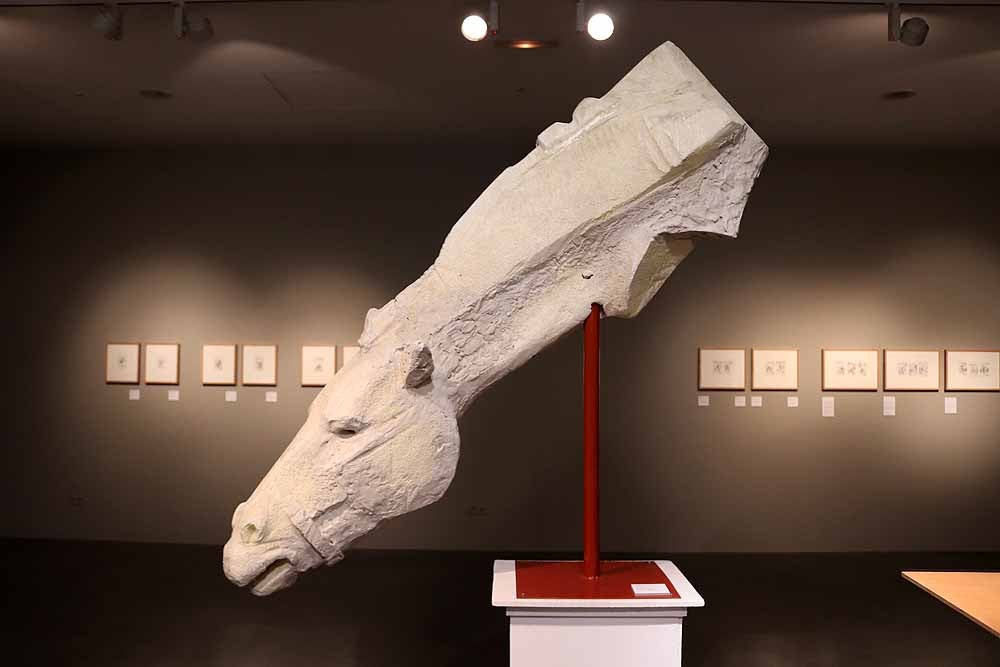 La exposición 'Una mirada a Cervantes' se muestra en la Sala de Exposiciones Pedro Torrecilla, del 22 de febrero al 25 de marzo