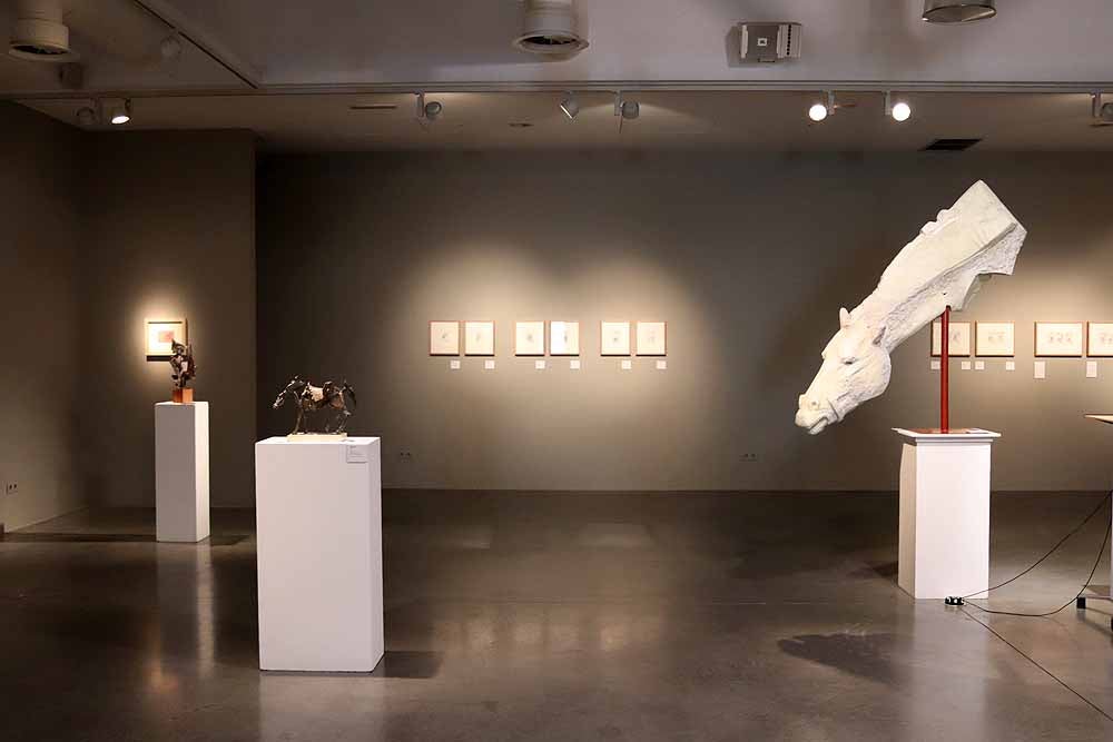 La exposición 'Una mirada a Cervantes' se muestra en la Sala de Exposiciones Pedro Torrecilla, del 22 de febrero al 25 de marzo