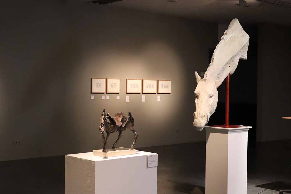 La exposición 'Una mirada a Cervantes' se muestra en la Sala de Exposiciones Pedro Torrecilla, del 22 de febrero al 25 de marzo