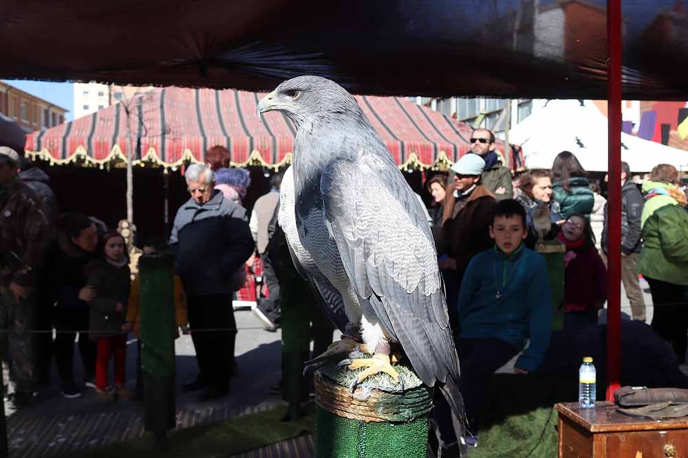 Fotos: Vuelta al pasado con el Mercado Medieval de Gamonal