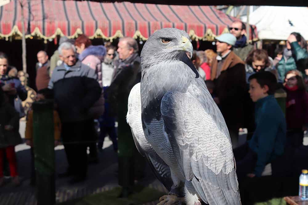 Fotos: Vuelta al pasado con el Mercado Medieval de Gamonal