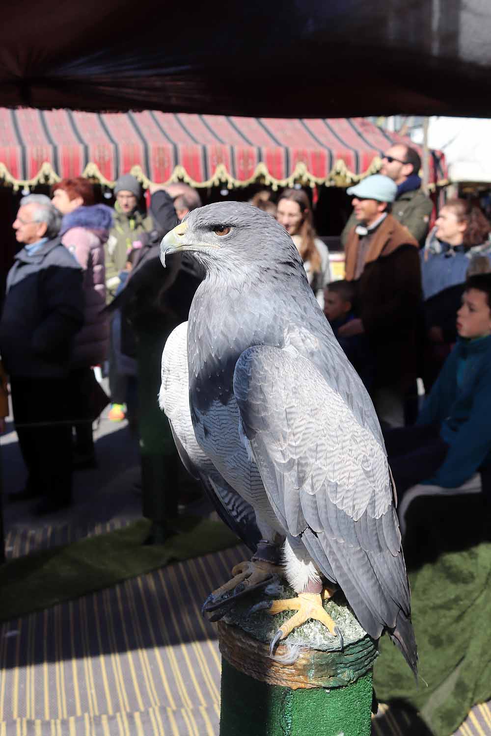 Fotos: Vuelta al pasado con el Mercado Medieval de Gamonal