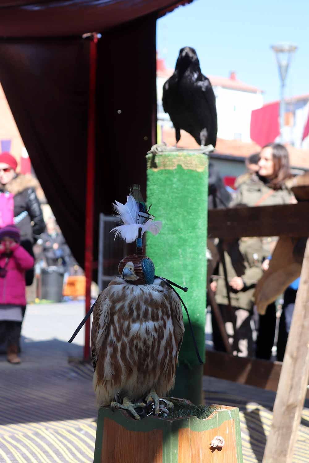 Fotos: Vuelta al pasado con el Mercado Medieval de Gamonal