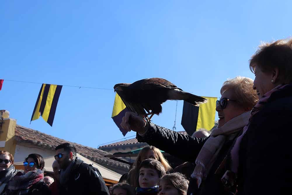Fotos: Vuelta al pasado con el Mercado Medieval de Gamonal