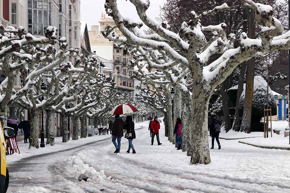 Las prediciciones se han cumplido y la provincia y la capital han amanecido cubiertas de un manto blanco, generandpo numerosas complicaciones en calles y carreteras.