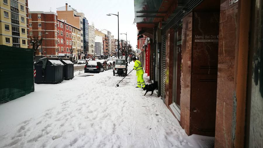 Las prediciciones se han cumplido y la provincia y la capital han amanecido cubiertas de un manto blanco, generandpo numerosas complicaciones en calles y carreteras.