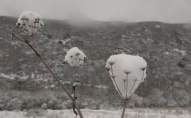 Temporal de nieve en Ponferrada. 