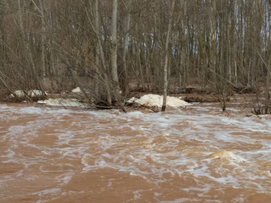 Las lluvias y el deshielo han hecho que el caudal del Arlanza crezca de manera considerable. Los vecinos lo miran con recelo ante las previsiones de más lluvia para la próxima semana
