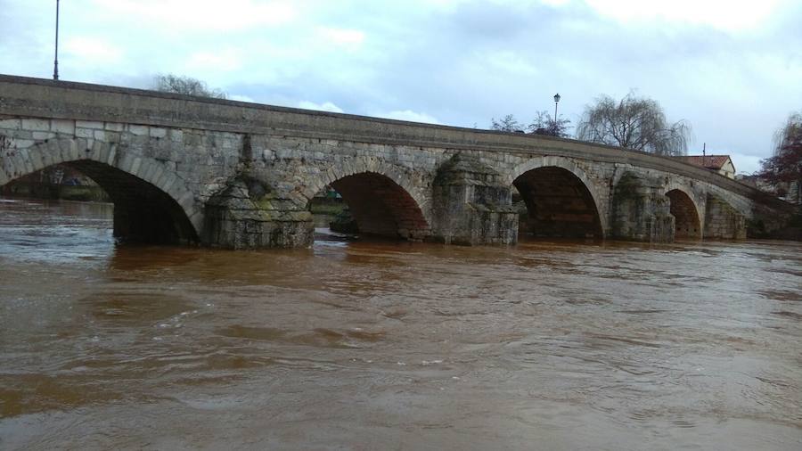 Las lluvias y el deshielo han hecho que el caudal del Arlanza crezca de manera considerable. Los vecinos lo miran con recelo ante las previsiones de más lluvia para la próxima semana