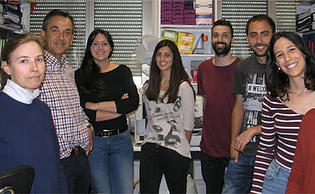 El equipo de investigación dirigido por Isidro Sánchez. 