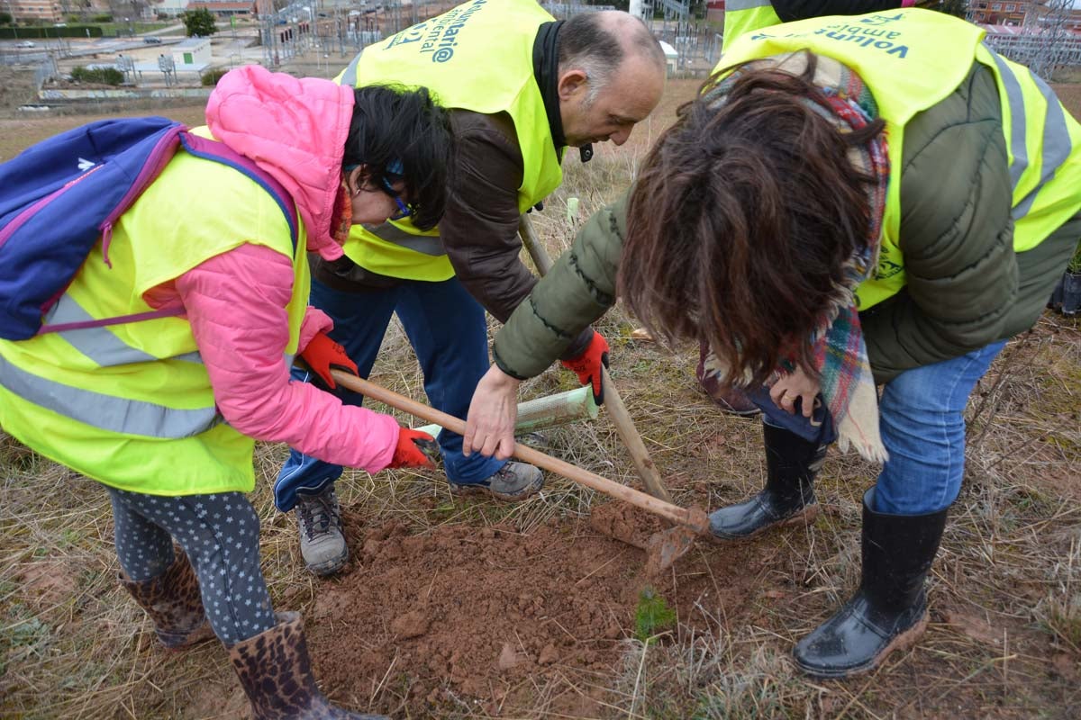 Alrededor de 200 personas se juntan en la Barriada Yagüe para repoblar la masa forestal del Monte de la Salud y el Cerro del Rey.