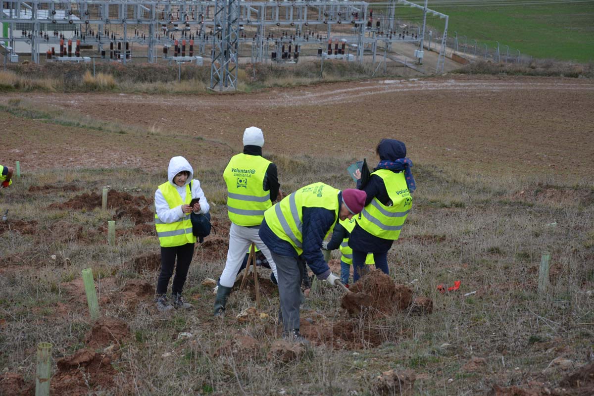 Alrededor de 200 personas se juntan en la Barriada Yagüe para repoblar la masa forestal del Monte de la Salud y el Cerro del Rey.