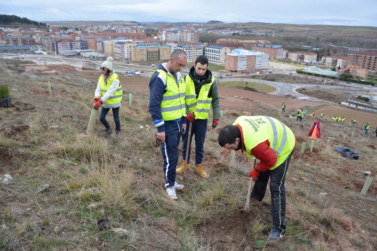 Alrededor de 200 personas se juntan en la Barriada Yagüe para repoblar la masa forestal del Monte de la Salud y el Cerro del Rey.