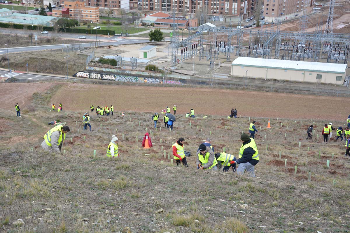 Alrededor de 200 personas se juntan en la Barriada Yagüe para repoblar la masa forestal del Monte de la Salud y el Cerro del Rey.