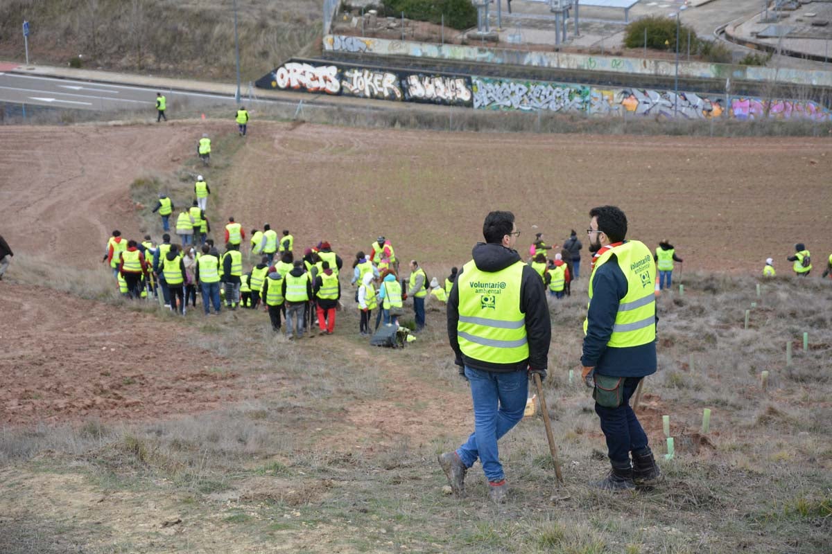 Alrededor de 200 personas se juntan en la Barriada Yagüe para repoblar la masa forestal del Monte de la Salud y el Cerro del Rey.