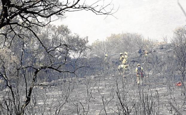 Una cuadrilla medioambiental realiza labores de extinción en el incendio forestal declarado en la localidad zamorana de Fermoselle, en el Parque Natural de los Arribes del Duero.