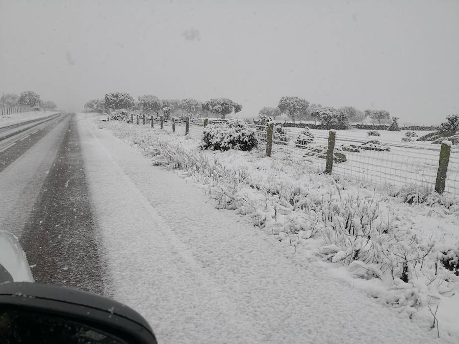 La nieve ha sorprendido de madrugada en la provincia de Salamanca, donde hay dificultades de tráfico por el elemento blanco que cubre las carreteras.